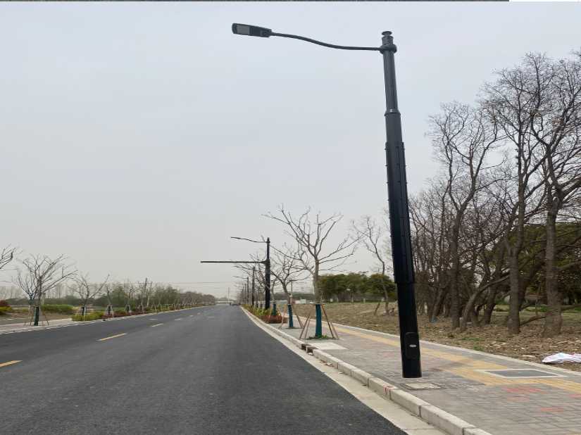 垫江县上海综合杆 太阳能路灯工程